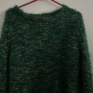 Green Sweater Wild Fable
